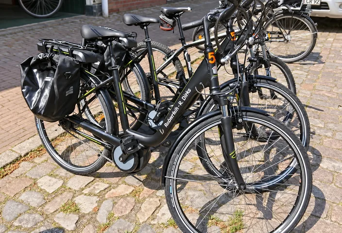 Auswahl verschiedener Mietfahrräder des Radverleihs Friedrichstadt